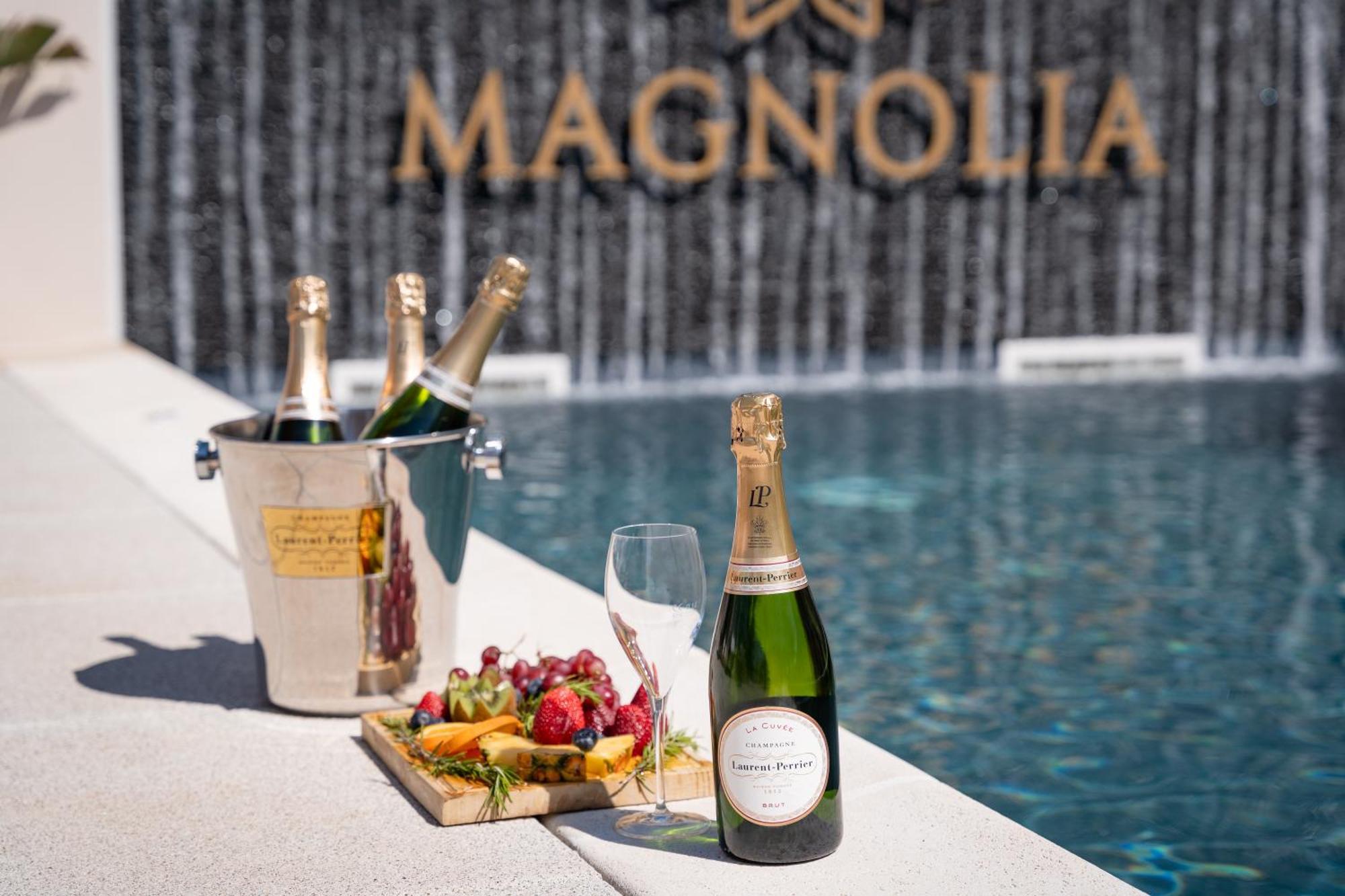 Magnolia Luxury Villa 비에이라 데 레이리아 외부 사진